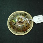 景泰蓝双狮耳狮钮三足香炉 - Image 6