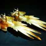 日本 Masatsune Kimura bronze 绶带鸟稚鸡铜雕摆件（对） - Image 6