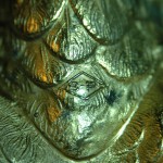 日本 Masatsune Kimura bronze 绶带鸟稚鸡铜雕摆件（对） - Image 8
