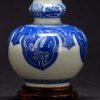 清康熙 画押款 青花芭蕉叶纹三节葫芦瓶 - Image 14