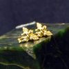天使金耳钉 - Image 3