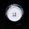 大清康熙  青花芭蕉叶开光人物花瓶 - Image 6