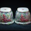 晚清广彩 义谦堂龙年制 百花不落地花盆 鸳鸯蝴蝶花卉纹 粉彩套盆鱼盆 - Image 47
