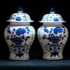 清康熙 青花博古纹 宝鼎花卉诗文 将军罐 - Image 26