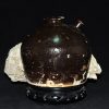 宋 磁州窑系 黑釉吐鲁瓶 吐鲁壶 嘟嚕瓶 （底残） - Image 7