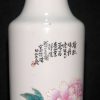 民国 陈善模 粉彩花鸟紋一統瓶